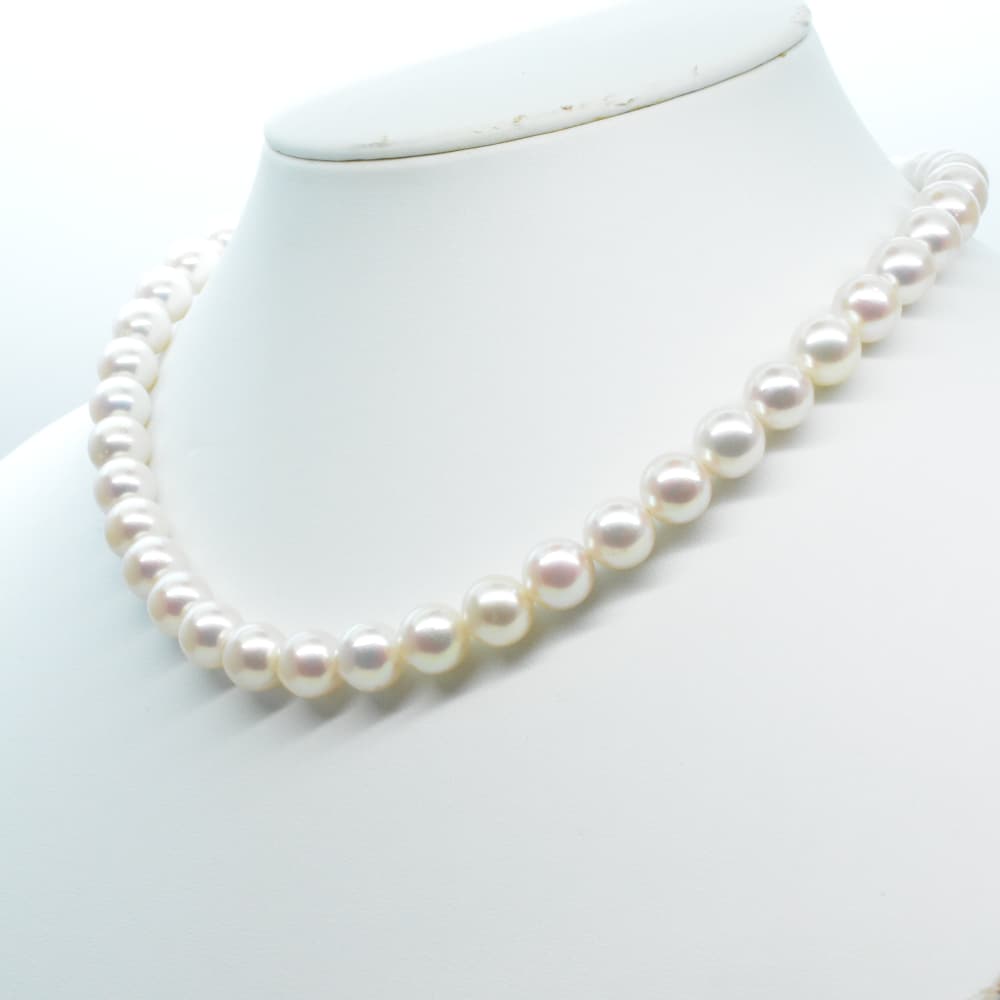 【ジュエリー 販売】6月の誕生石パールの上品な輝き✨今ならなんと10％OFFでGET出来ちゃいます🤍🤍
